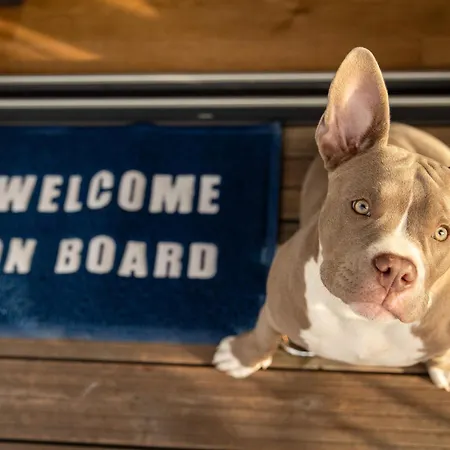 The Homeboat Company Sant'elmo-cagliari *