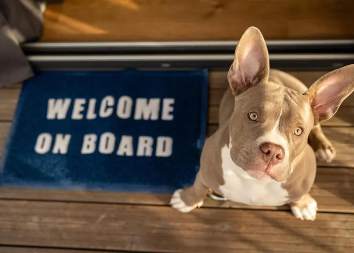 The Homeboat Company Sant'elmo-cagliari *